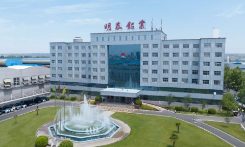 促進兩性平等和賦予婦女權力工作總結報告